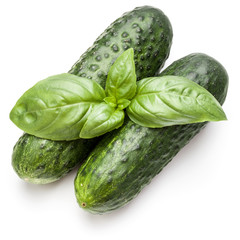 Cucumber vegetable and basil leaves isolated on white background cutout