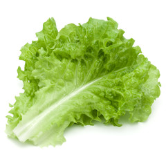 fresh green lettuce salad leaves isolated on white background