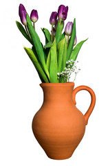 Ceramic vase with purple tulips and gypsophila isolated on white background