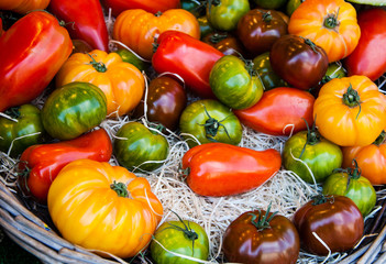 Different colorful tomatoes at farmers market in Paris (France)