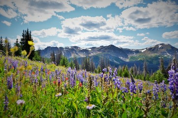 Cathedral Provincial Park BC Canada