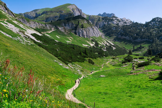 Hiking in the mountains. Austria travel, Achensee Area, Tirol