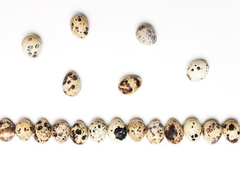 Quail eggs in a row on