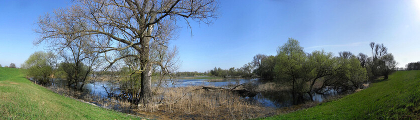 Panorama einer Landschaft mit Deich im Oderbruch bei Lebus am Fluss Oder in Brandenburg, Deutschland