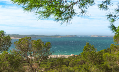 Wide angle view through trees from high point on nearby hillside out to see and the familiar...