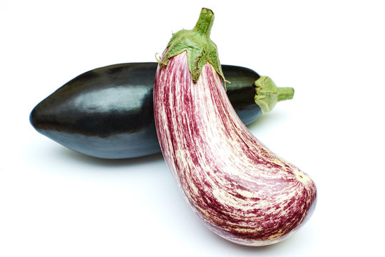 striped black and eggplant on an isolated background