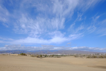 Fototapeta na wymiar Dunes of Maspalomas. Canary Island Gran Canaria, Spain.