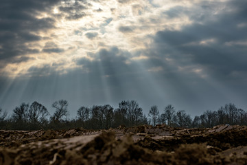 Sunrays shining through cloud cover on farmland.