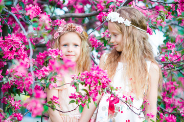 Fototapeta premium Adorable little girls in blooming apple tree garden on spring day