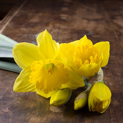 Composition with daffodils, spring flowers on wooden background