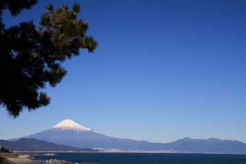 Fototapeta na wymiar Mt. Fuji and sea, view from Mihono Matsubara in Shizuoka, Japan