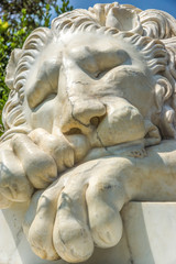 Fototapeta na wymiar Lion sculpture on the territory of Vorontsov Palace, Crimea