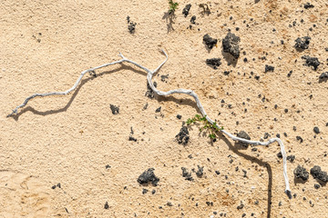 wunderschöne Dünenlandschaft Parque Natural de Corralejo auf Fuerteventura 