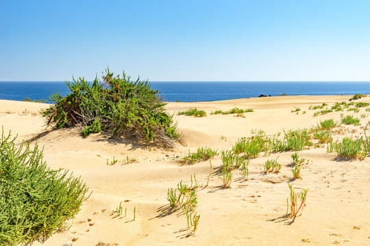 wundersch&ouml;ne D&uuml;nenlandschaft Parque Natural de Corralejo auf Fuerteventura 