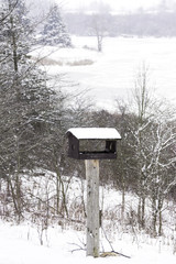 Wooden handmade bird house in a vertical winter landscape, snow, trees and frozen lake