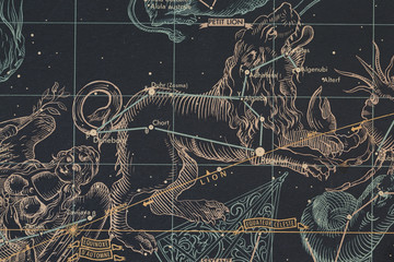 Mapa nieba- znak zoodiaku-lew - obrazy, fototapety, plakaty