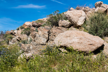 Anza-Borrego State Park boulders and spring wildflowers in Southern California.  