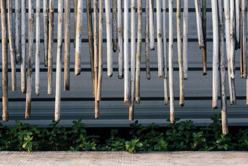 Cut bamboo background