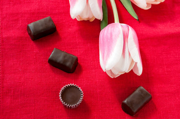 Tulips and chocolate candies on a red background