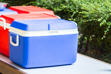 ice chest or Handheld refrigerator
