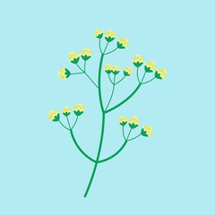 Flower summer natural plant vector illustration.