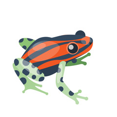 Plakat Frog cartoon tropical green red animal cartoon nature icon funny and isolated mascot character wild funny forest toad amphibian vector illustration.