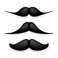 Mustache isolated on white. Black vector vintage moustache. Facial hair.Barber shop. Retro collection. Hipster beard.