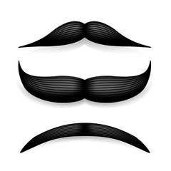 Mustache isolated on white. Black vector vintage moustache. Facial hair.Barber shop. Retro collection. Hipster beard.