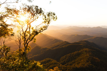 Morning golden sunrise on the wild mountains in Australia - obrazy, fototapety, plakaty