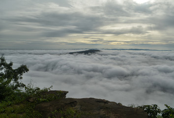 Sea of mist on mountain with brown rock and tropical plant ,Early morning
