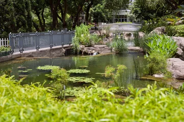 Fotobehang Fish pond in Hong Kong Park, Central District, Hong Kong Island © Stripped Pixel