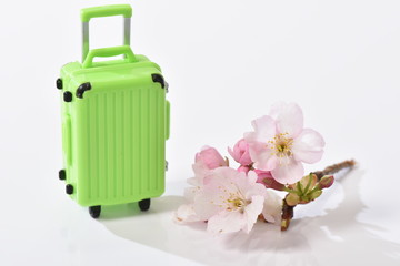 桜とキャリーケース
