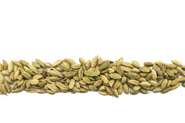 Cardamom in Row on Isolated White
