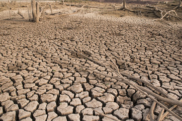 Drought and cracked clay ground in the dry season