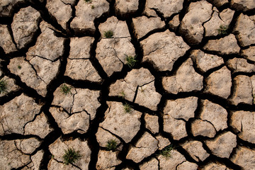 Drought and cracked clay ground in the dry season