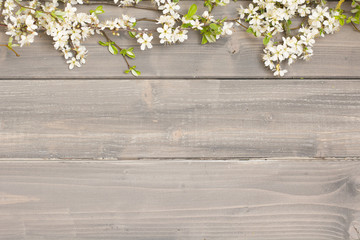 Spring background