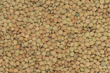 Lentil bean background