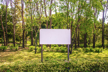 label in front of forest