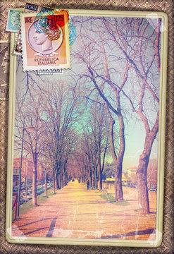 Avenue with trees,vintage postcard and old stamps