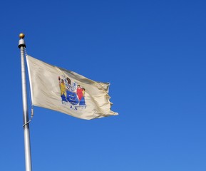 New Jersey State flag waving