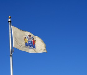 New Jersey State flag waving
