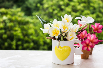 Yellow white flower plumeria or frangipani bouquet in heart pattern cup on green forest tree bush nature background
