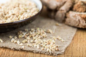 Fresh Green Buckwheat Sprouts in the spoon Closeup. Raw Healthy Vegan Organic Diet. Healthy Vegetarian Eco Food concept, Dieting