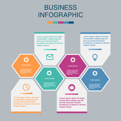 Business infographic hexagon, flat design, on white background