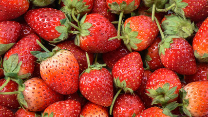 Ripe strawberry arrangement for background