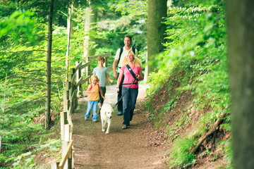 Family Of Four Hiking