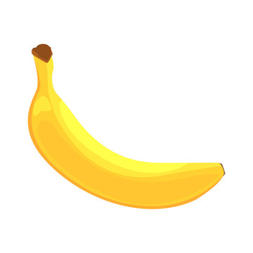 Banana Fruit, Food Item Rich In Proteins, Important Element Of The Healthy Balanced Diet Vector Illustration