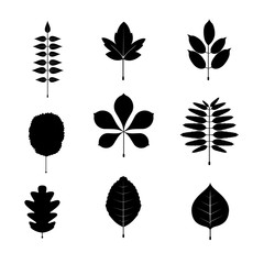 Black and white leaf icon and symbols set. vector illustration.