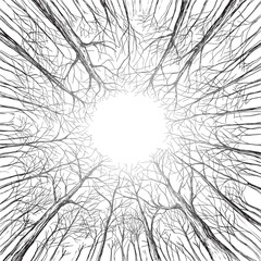 Trees in a forest look up winter autumn Hand drawn and converted to vector Illustration.