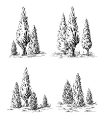 Foto op Canvas Set of hand-drawn cypress. Sketch design. © vectorgoods